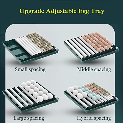 AJLDN Brutmaschine Vollautomatisch Hühner 24 Eier Brutgerät, Eier Inkubator mit automatischem Eierwender, Feuchtigkeits… – Bild 5