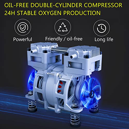 Concentrador De OxigêNio PortáTil Para Uso DoméStico, Com Kit De AtomizaçãO/Tubo De OxigêNio Nasal/C