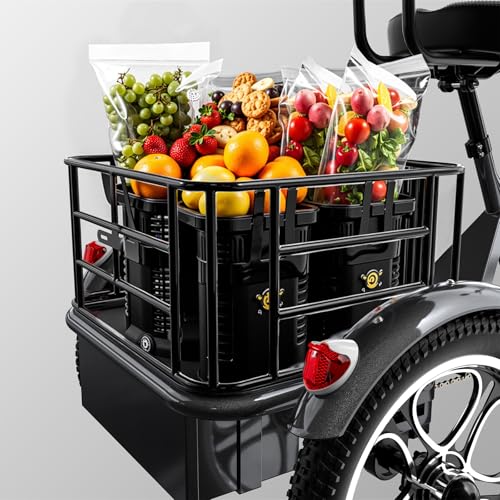 Elektrische driewieler 16 inch wielen, 48V 22Ah accu, 150 km bereik, mand en groot bagagerek, veilig frame - Afbeelding 6