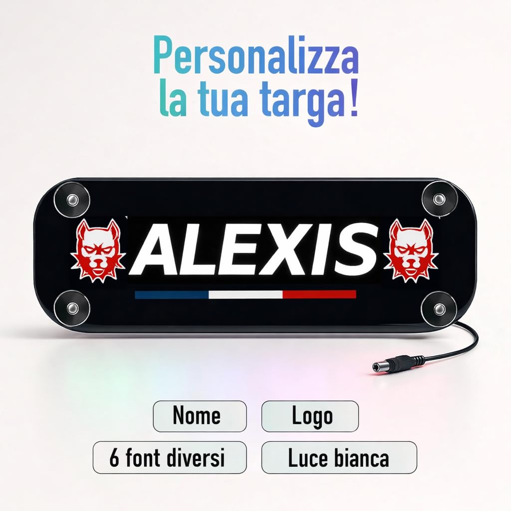 Piastra luminosa cabina camion - nome, messaggio, logo personalizzato - Illuminazione potente LED 5, 12, 24 V - Insegna al neon personalizzabile decorazione interna - Fabbricazione