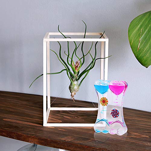 KINGYAO Liquid Motion Bubbler Timer, Liquid Timer Sensory Toy for Kids Autism ADHD Calming and Stress Relief Lava Timer Desk Toy - Thumbnail 3