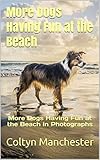 More Dogs Having Fun at the Beach: More Dogs Having Fun at the Beach in Photographs
