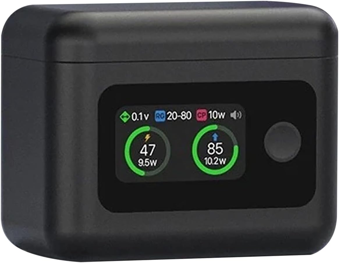 Portable Charging Box 2 Battery Storage Case USB USB-C Charger for Insta360 X5 Battery