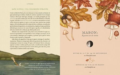 La rueda del año: Guía ilustrada para celebrar los ritmos de la naturaleza – vue 7