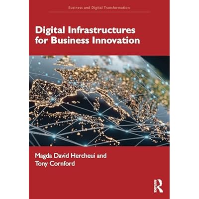 Digital Infrastructures for Business Innovation