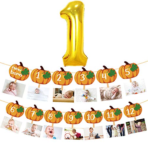 Little Pumpkin Photo Banner 12 Month Garland 1st Birthday Party Foil Balloon Decoration Autumn Theme Kids One Years Old Backdrop Supplies