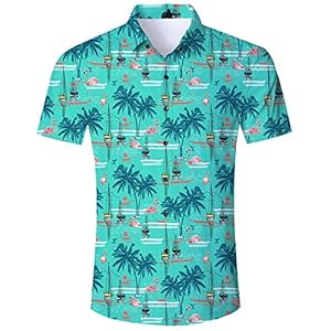 Goodstoworld Hawaïhemd voor heren, zomer, vrijetijdshemd, korte mouwen, 3D-print, grafisch, Aloha Hawaiihemd voor mannen…