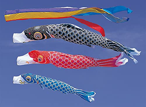 Amazon | こいのぼり ワタナベ 鯉のぼり 庭園用 12m 6点セット かなめ