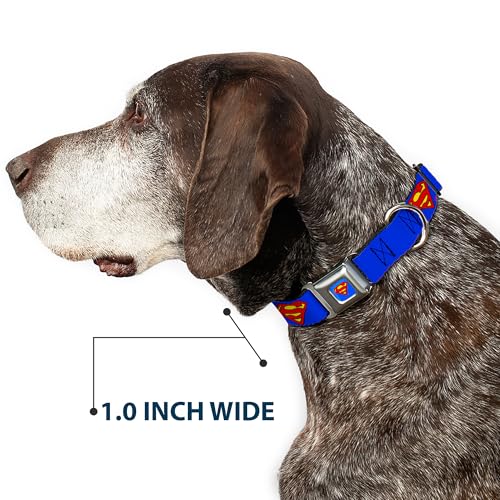 Collier de chien Superman Shield bleu Buckle Down réglable 9-38 cm
