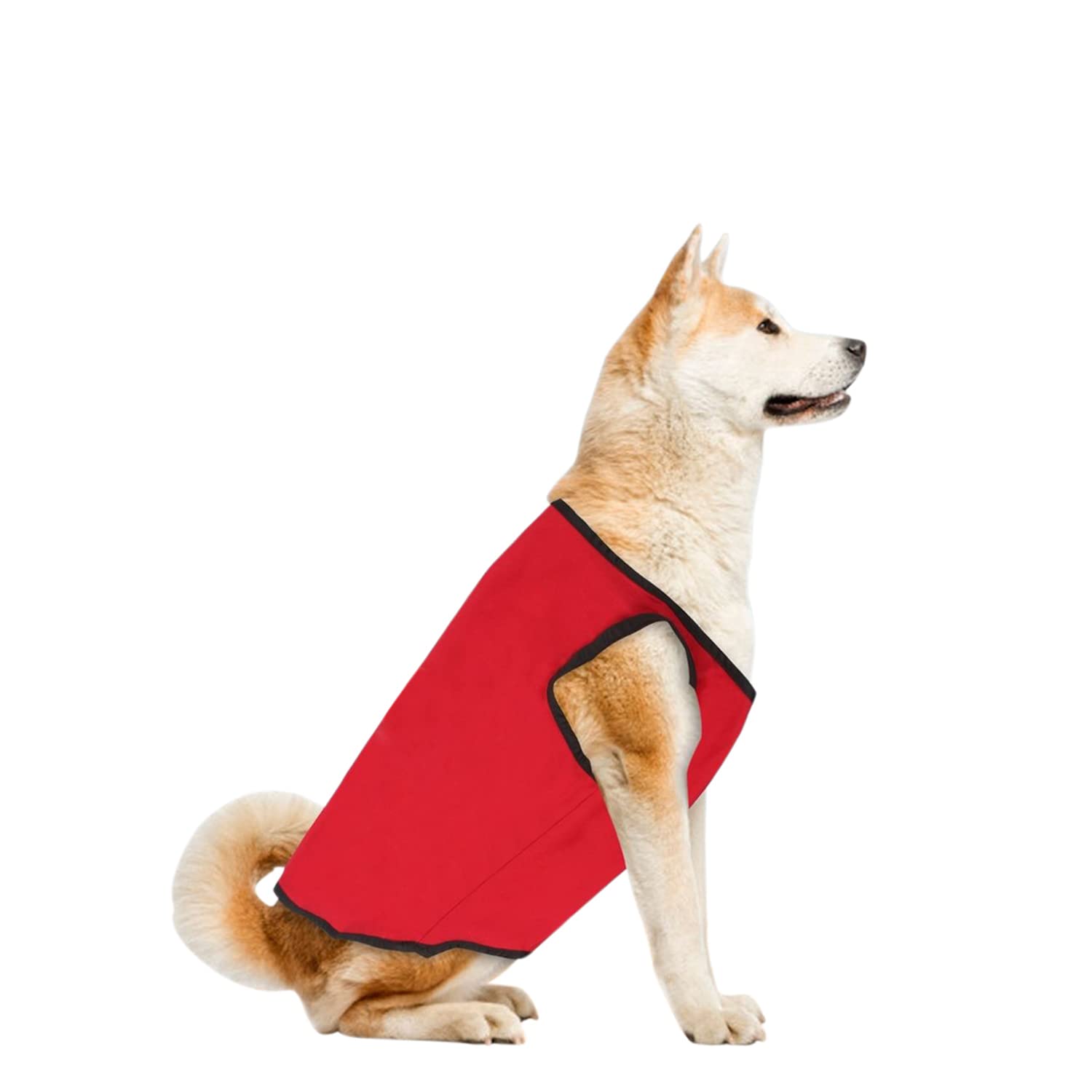 Western Era Soft Cotton Dog T-Shirt, Comfortable Dog Clothing, Sleeveless Vest Puppy Outfit, Apparel (Red) (XXSmall) (10 inches) (B09SG3K98P) Amazon Price History, Amazon Price Tracker