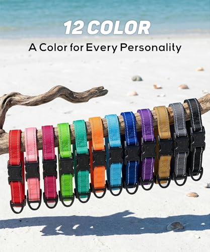 TagME Nylon Hundehalsband, Verstellbares Reflektierendes Hundehalsband mit Sicherheitsschnalle für Kleiner Hund, Grau, 2.0cm Breite