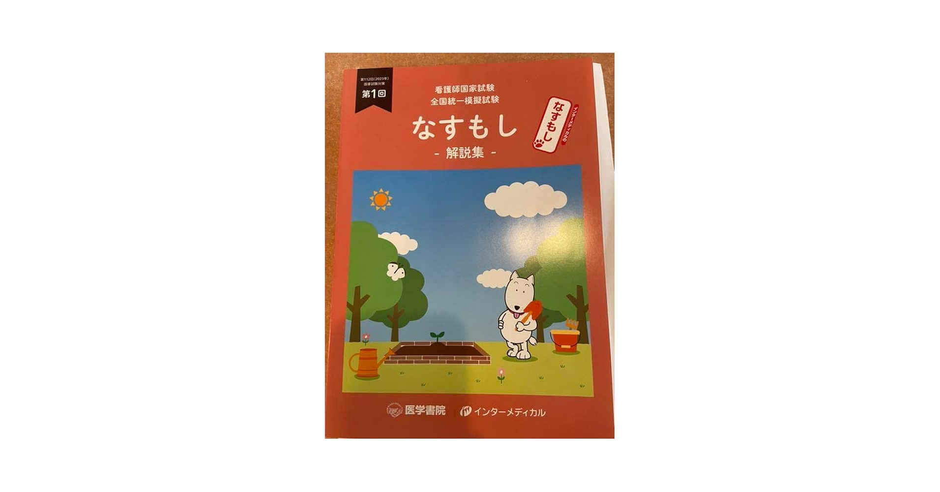 Amazon.co.jp: なすもし 112回 2023年 看護師国家試験試験対策