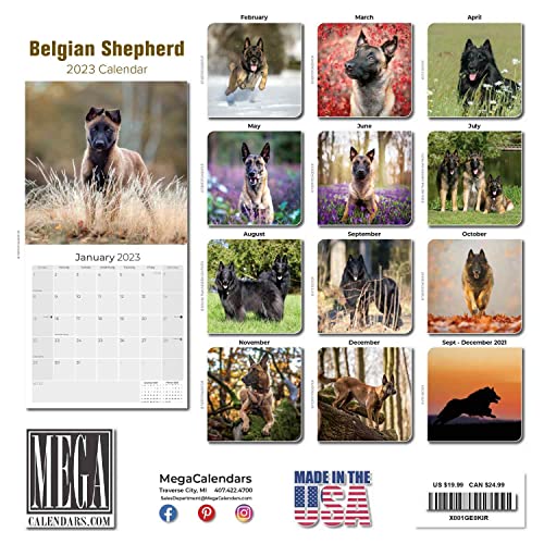 2022 2023 Belgian Shepherd Calendar - Dog Breed Monthly Wall Calendar - 12 X 24 Open - Thick No-Bleed Paper - Giftable - Academic Teacher's Planner Calendar Organizing & Planning - Made In Usa #TOP2