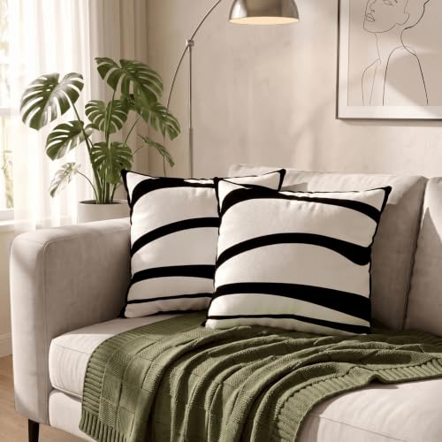 Ovelindra Black and White Throw Pillow Covers 18x18 Set of 2