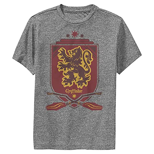 Harry Potter Kids Gryffindor Shield T-Shirt Charcoal Heather Small