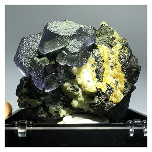 Pierre enseignement minéralogie fluorite et pyrite verte 203.3g - 3