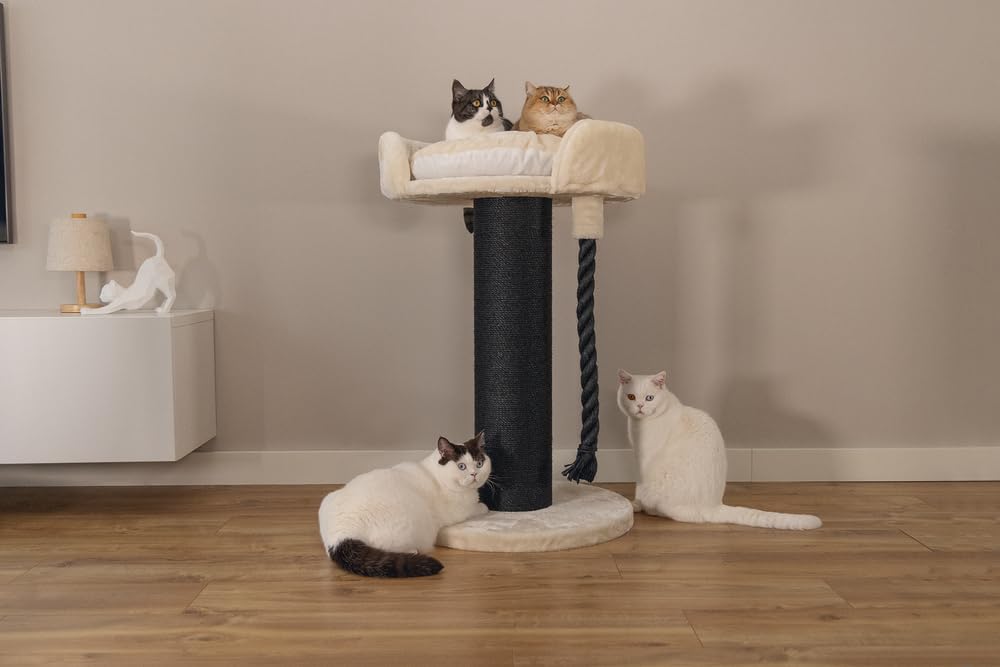 Beeztees Tura - Mobili tiragraffi, 60 x 60 x 100 cm, Colore: Panna