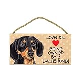 1 X Dachshund (Black and brown) (Love is being owned by) Door Sign 5''x10''