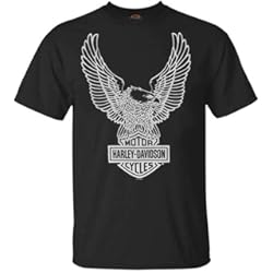Camiseta Hombre Eagle Graphic Manga Corta Tee Negro 30296656