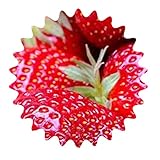 🍓 50 semillas de fresas gigantes.