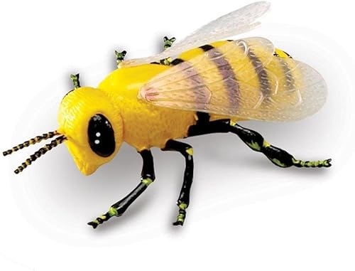 Miniatura 7 de Learning Resources Insectos jumbo, juguetes de animales para niños, ciencia preescolar infantil, habilidades motoras finas, regalos para niños