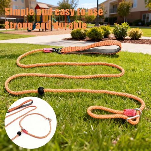 Rieoany Retrieverleine mit Zugstopp, 6mm x 180cm Hundeleine für kleine, mittlere und große Hunde, Zugstopp Halsband Hund, Leichte Hundeleine mit Halsband, Retrieverleine für Training und Spaziergang