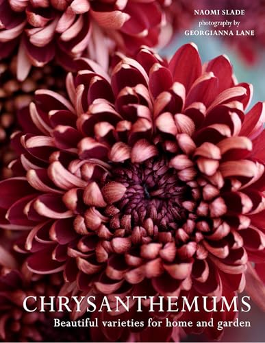 Livre chrysanthèmes de jardin pour composer de superbes bouquets - 2