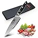 SHAN ZU Cuchillo de Cocina Damasco 20m, Cuchillo Chef Profesional de Acero Damasco AUS-10 Japones de 67 Capas, Cuchillo Japones con Mango de Material G10, Cuchillo Ccinero de Verdura, Fruta y Carne
