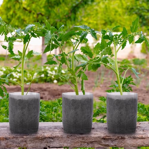 GREANER Degradable Grow Bags, 12.6"x13.4" Plant Bags for Home Garden Greenhouse Supplies, 50-Pack Large Fabric Pots for Vegetable Flower Fruits Potato Tomato Garden Seed Starting by GREANER - Used condition - Image 6