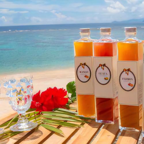 鹿児島県産 フルーツジュース&アンダギー詰合せ グァバ 詰め合わせ 奄美大島 奄美 プレーン よもぎ きなこ ココア 黒糖 郷土菓子 お菓子 おやつ 鹿児島 鹿児島県 グルメ ご当地グルメ 食べ物 お取り寄せグルメ 食品 食材 贈り物 ご当地 お取り寄せ