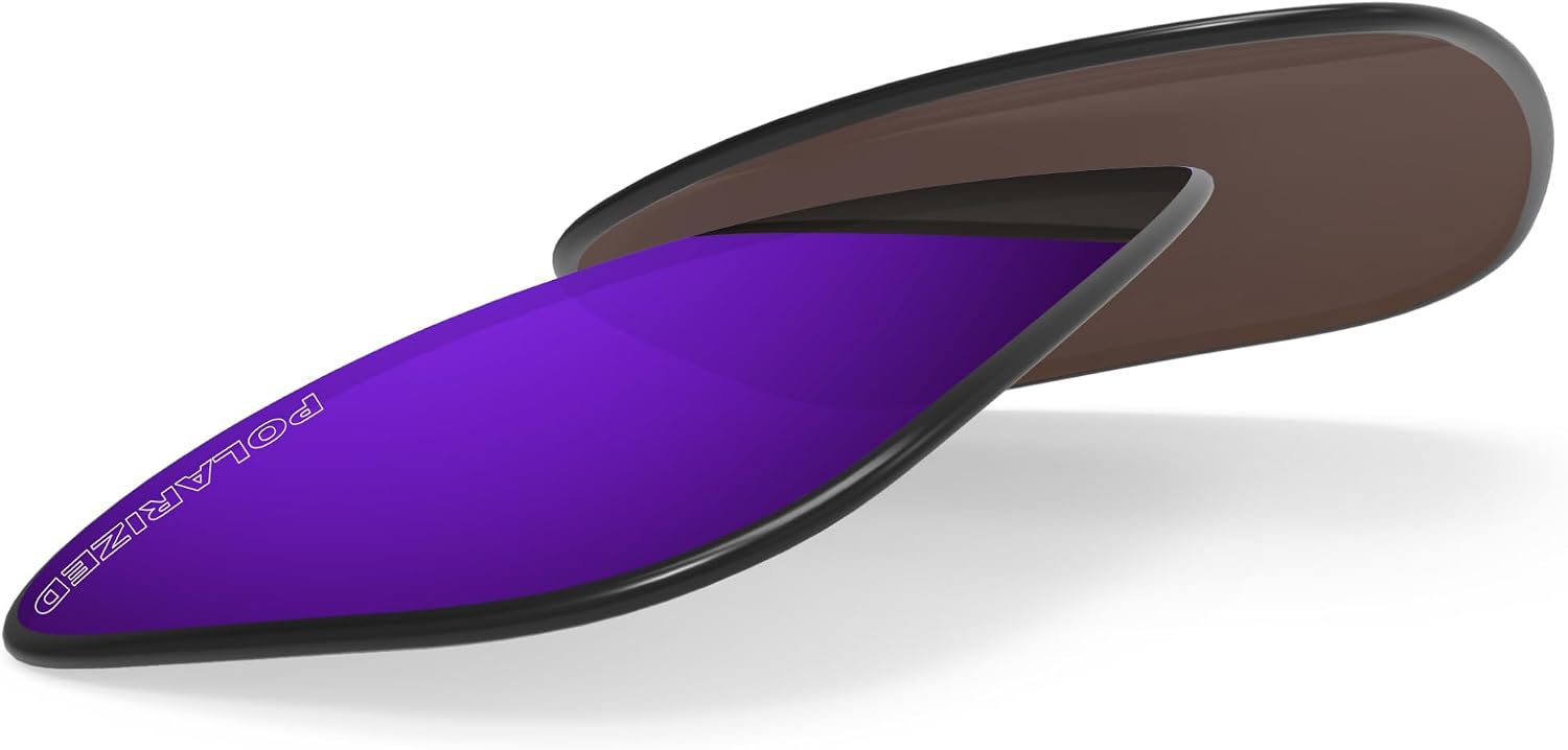 BLAZERBUCK Anti-salt Polarized Replacement Lens Compatible with Ray-Ban Meta Wayfarer RW4006 50mm Glass, Easy to Install