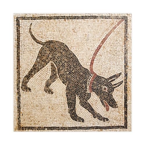 Toile Cave Canem Beware of Dog Pompéi 71x71cm pour en finir avec les murs blancs tristes
