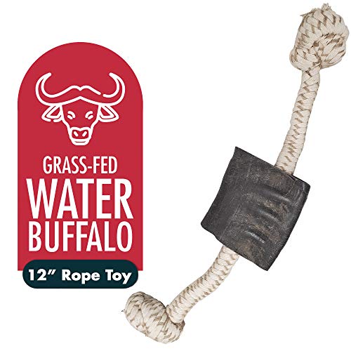Buffalo Horn and Rope Chew Toy for Dogs – All Natural and Grass-fed Buffalo Horns – 12-inch Rope Toy for Moderate to Aggressive Chewers – by Fang & Claw