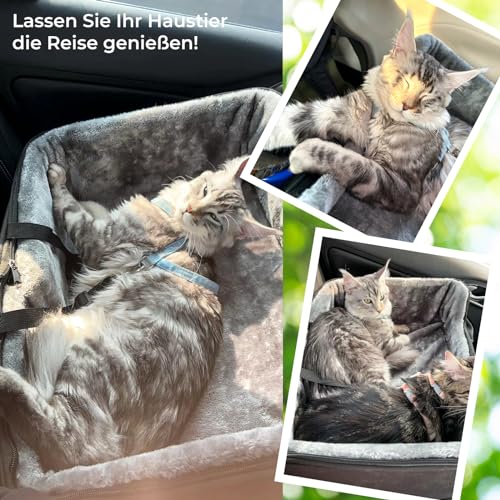 Babenest Hunde Autositz, Sehr Stabiler Mehrere Haustiere Auto Erhöhter mit Sicherheitsgurt für Mittlere Hunde, Faltbare Waschbarer und Große Kapazitäter Verstärkter Hundekorb für Rücksitz (Schwaz, L)