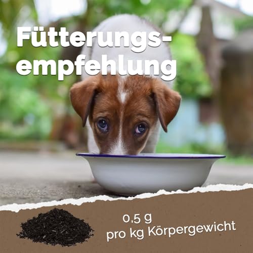 DIMIKRO Futterkohle für Hunde & Katzen 250g - Aktivkohle ideal geeignet bei Futterumstellungen oder empfindlicher Verdauung - Kohlepulver für Haustiere - Mischen mit Futter oder Trinkwasser