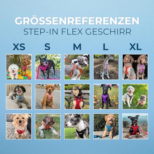 Voyager Verstellbares Hundegeschirr mit Reflektorstreifen by Best Pet Supplies - Strapazierfähige Ganzkörperweste ohne Zugkraft mit Leinen-D-Ring, atmungsaktiv, Rosa, size XS