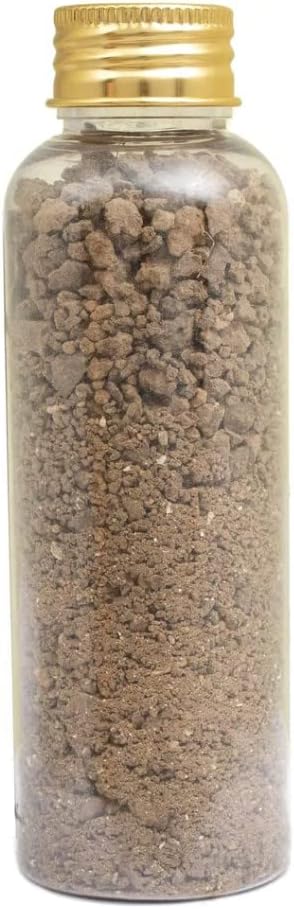 Blessed Authentic Bottle with Holy Soil Souvenir from Jerusalem Holy Land Israel Earth 4,2oz (120 gr) Certificate Gift Spiritual Tierra Sagrada Christian
