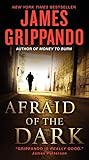 Afraid of the Dark (Jack Swyteck Novel, 9)