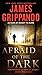 Afraid of the Dark (Jack Swyteck Novel, 9)