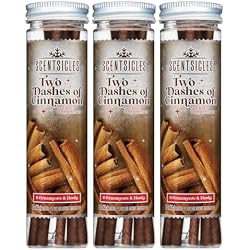 Scentsicles Two Dashes of Cinnamon Scented Christmas Ornaments with Hooks | 3 Bottles (18 Sticks Total)