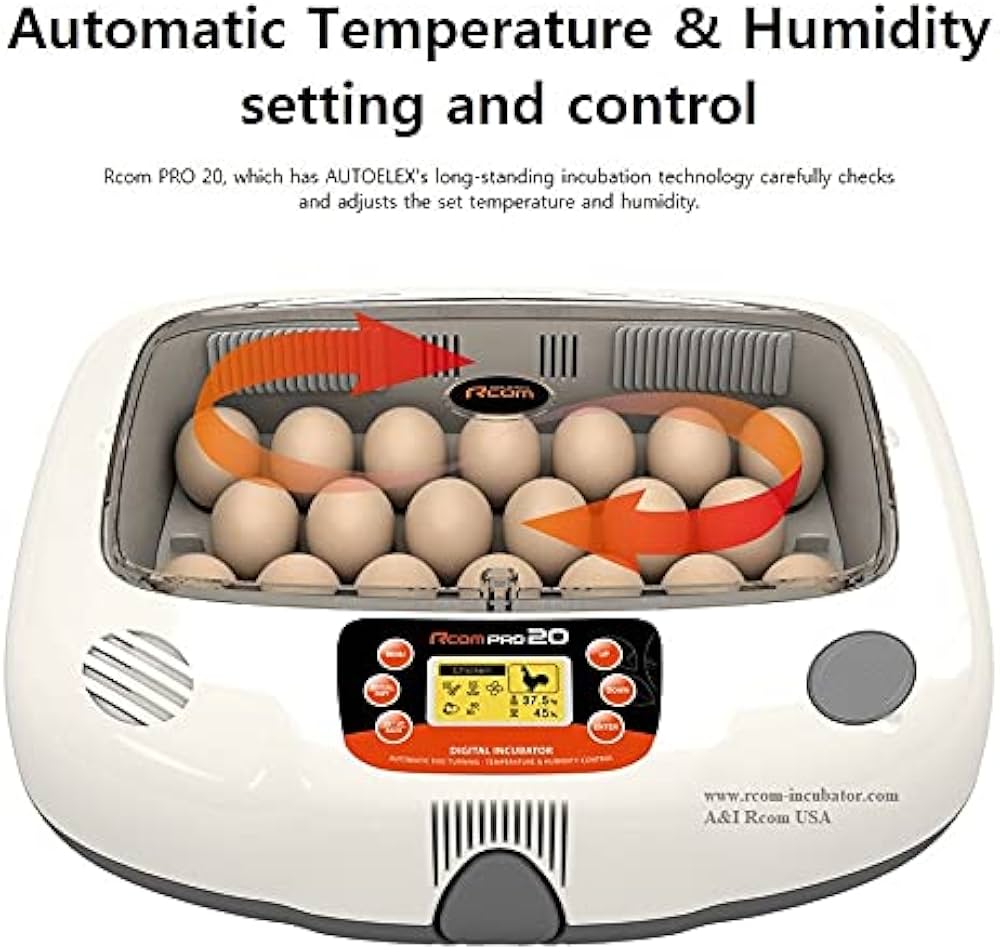 514gFEnZrRS._AC_UF1000,