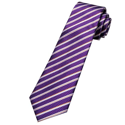 Image of Barry.Wang Silk Men Ties Formal Stripes Necktie and Tie Clip for Wedding Party Business Fashion Classic