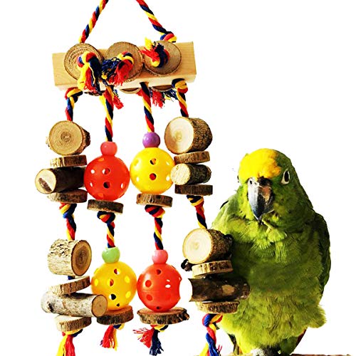 Bird Foraging Toys Star Bird Chew Toy Shredder Toy, Beaks Foraging Hanging Toys for Hidden Treasures Parrot Cage Toys Cages Shredder Macaws Cockatiel African Greys Conures, Colorful & Entertaining