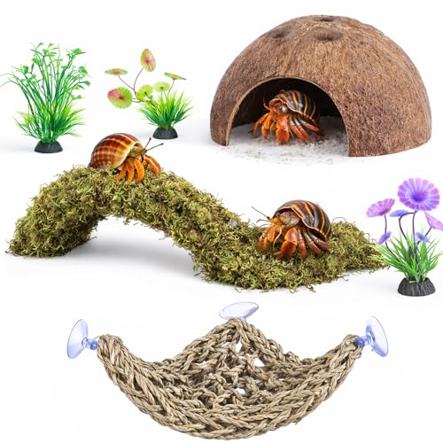 HERCCOCCI Hermit Crab Accessories, 6Pcs Hermit...