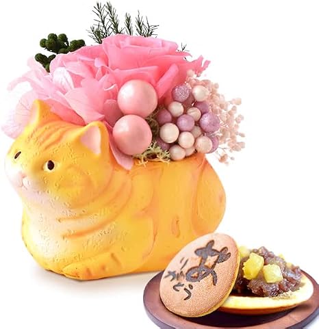 Amazon おいもや 猫 バラ どら焼き 花とスイーツ プリザーブドフラワー アレンジメント アメリカンショートヘア ベージュ プリザーブドフラワー オンライン通販