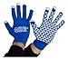Phi Beta Sigma Knit Texting Gloves