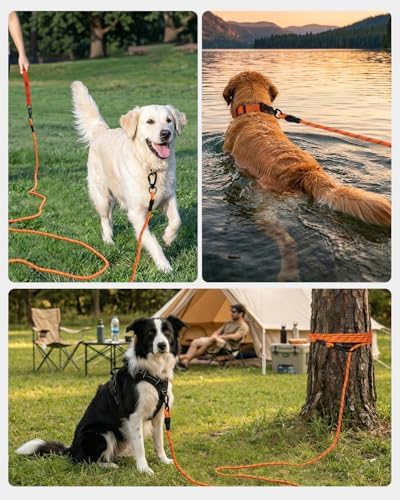 Joytale Long Dog Leash for Yard Tie Out & Recall Training, Orange, 30FT - 5