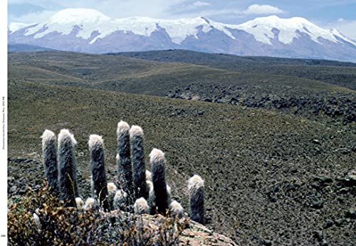 Xerophile, Revised Edition: Cactus Photographs from Expeditions of the Obsessed