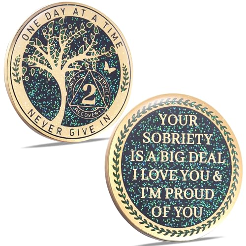 Image of LParkin 2 Year Sobriety Coin, Tree of Life Recovery Coin, AA Recovery Medallion, Anniversary Token Sobriety Gifts, Alcoholics Anonymous Medallion