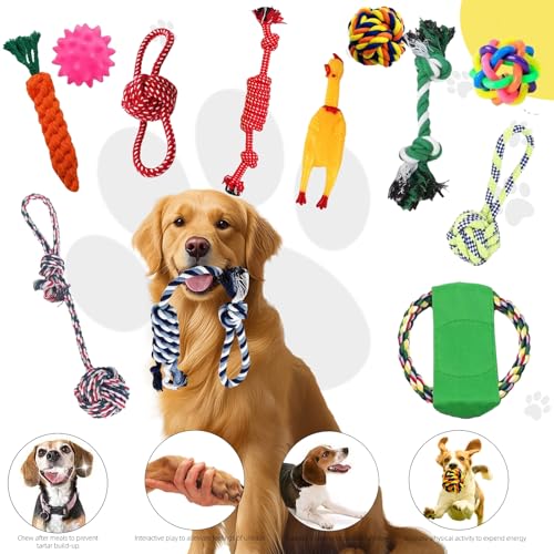 Aoksily Jouets pour Chien,12 Pièces de Jouet Chiot Chien,Corde Durable Indestructible à Mâcher pour Petit et Moyen – Image 4
